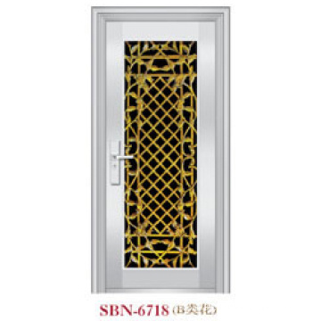 Stainless Steel Door for Outside Sunshine (SBN-6718)